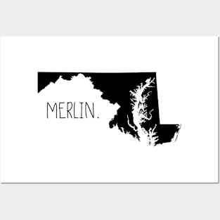 Merlin Posters and Art